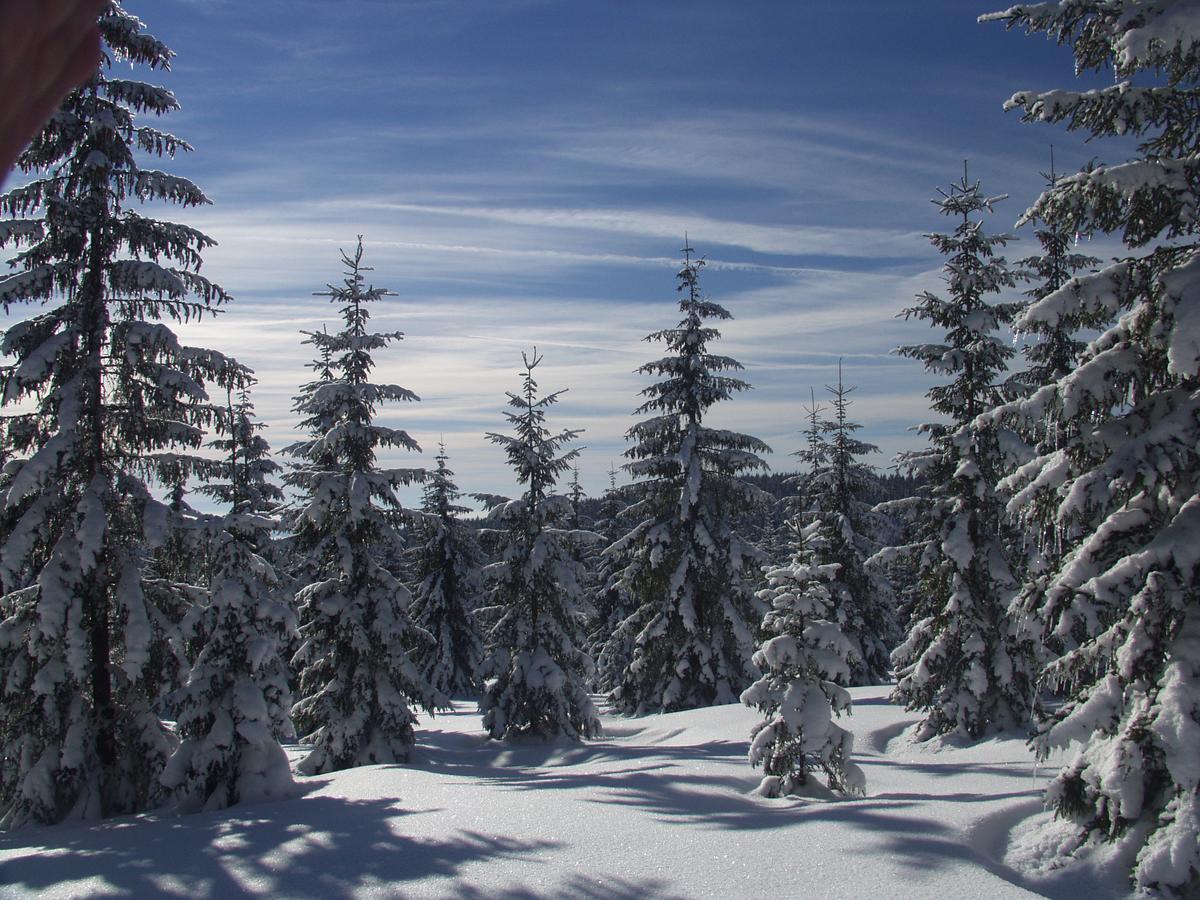 Penzion U Candru Vyšší Brod Esterno foto